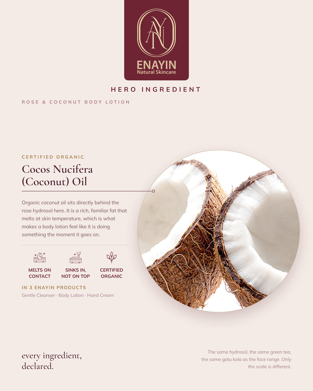 Rose & Coconut Body Lotion