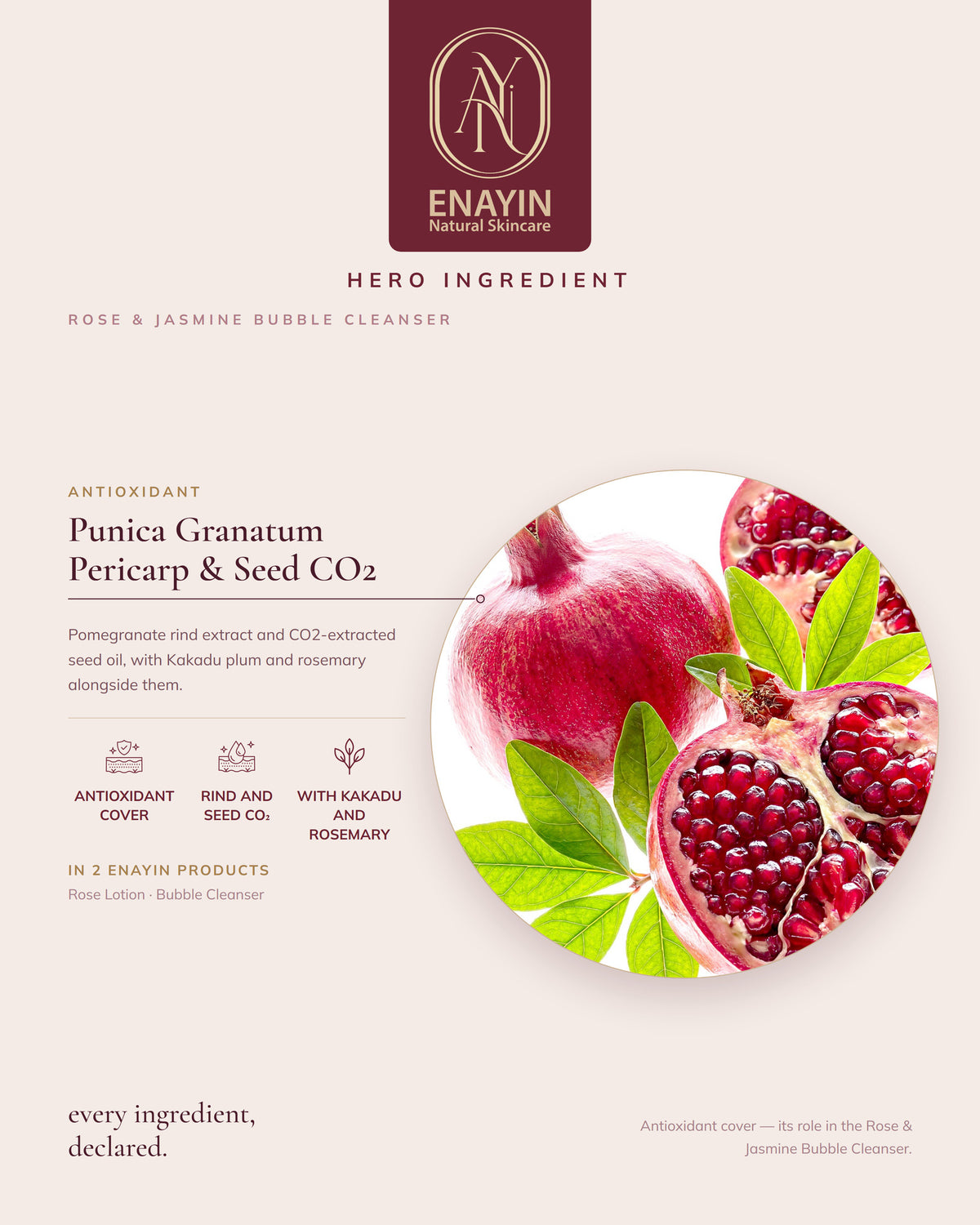 Rose & Jasmine Bubble Cleanser