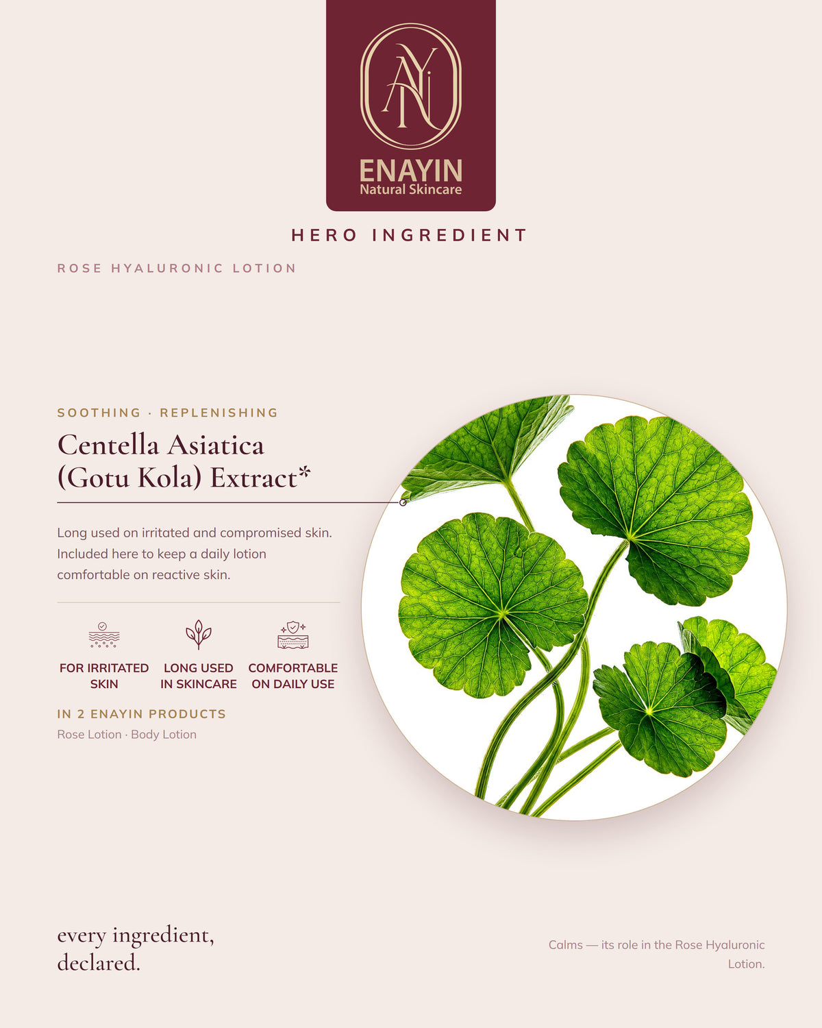 Rose Hyaluronic Lotion