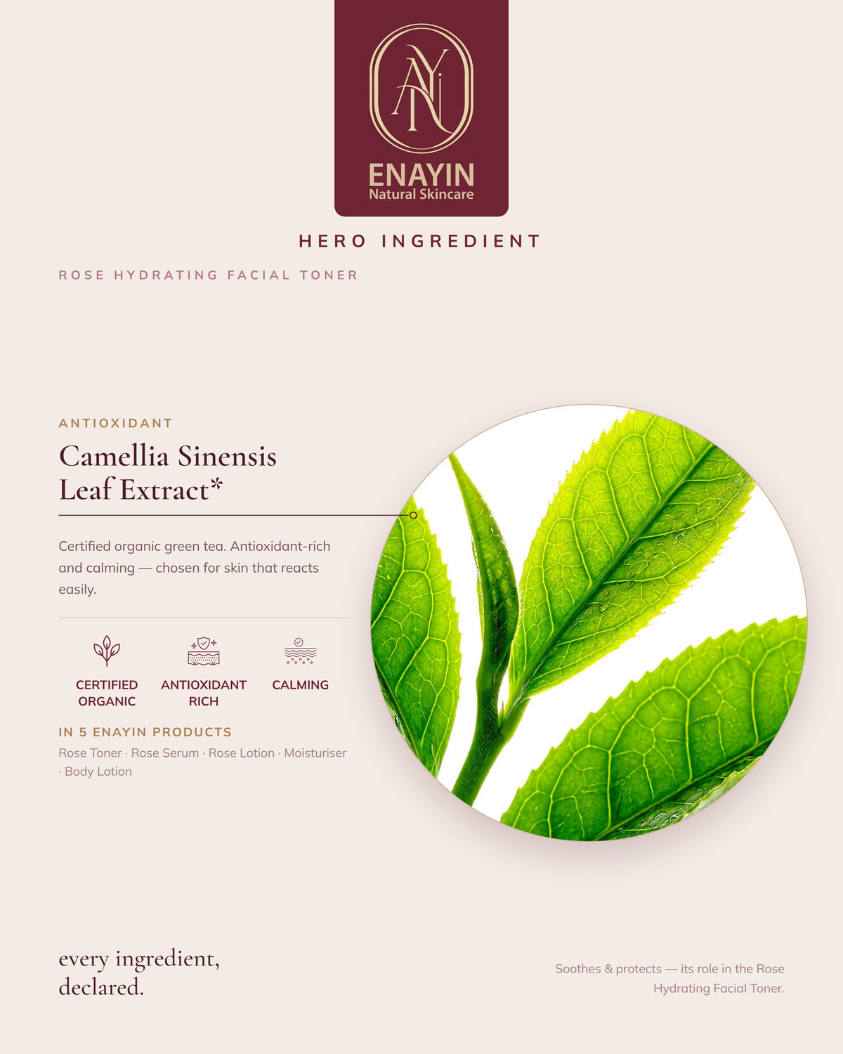 Rose Hydrating Facial Toner