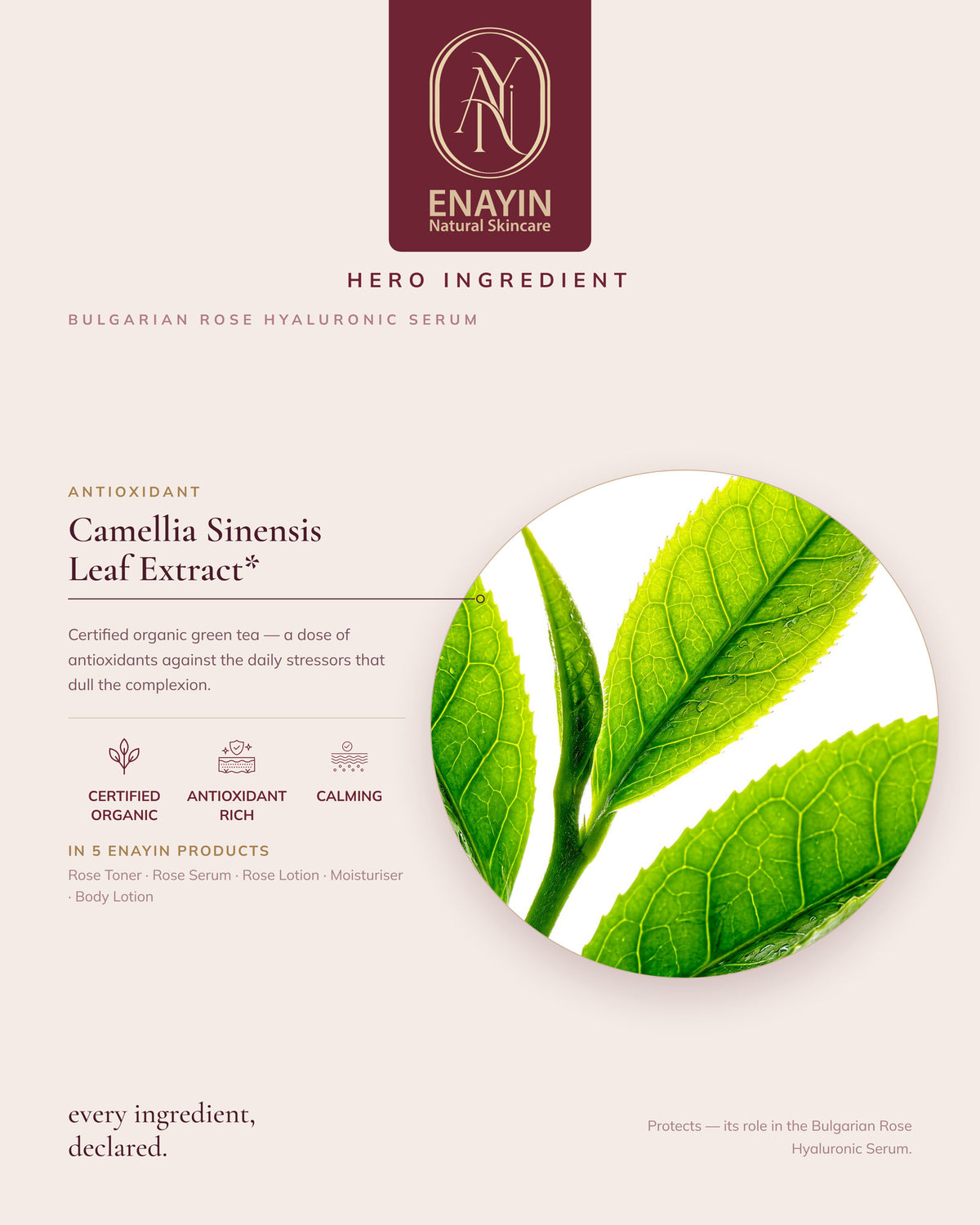 로즈 히알루로닉 세럼