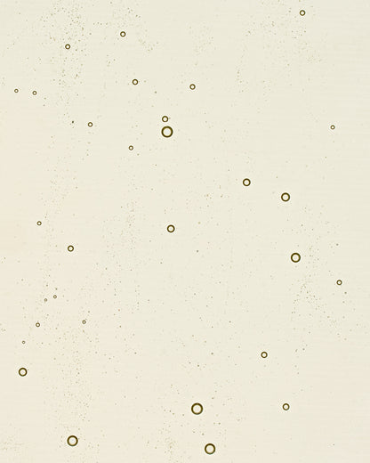 Camellia Mild Facial Oil